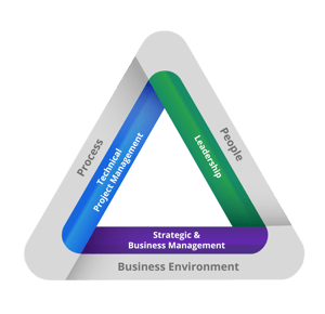 Talent Triangle for blog-1